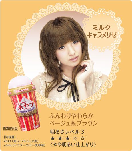 hoyu Japan BeautyLabo Bubble Hair Color Dying Kit  