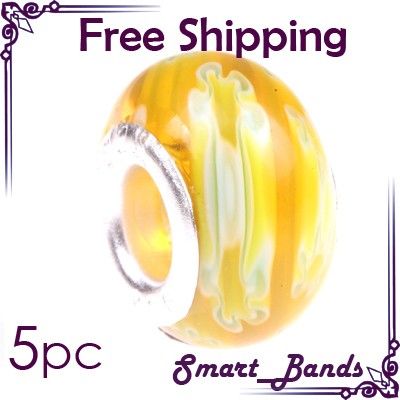 5pcs Lampwork murano glass European bracelet beads charms Jewelry 