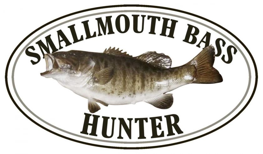 Smallmouth Bass Fishing Sticker Fish Hunter Decal  