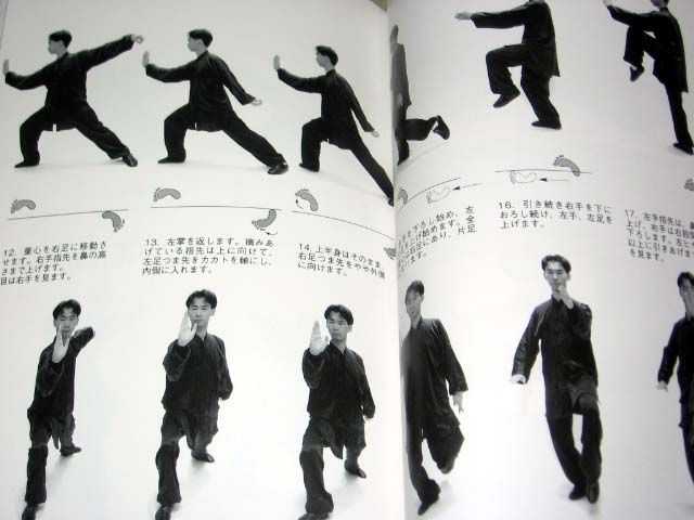 Tai Chi Chuan 01 Book & DVD Set Taichi m  