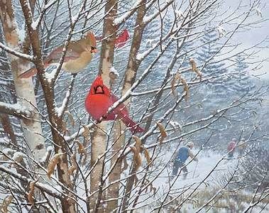 Michael Sieve Trailside Cardinal S/N Print  