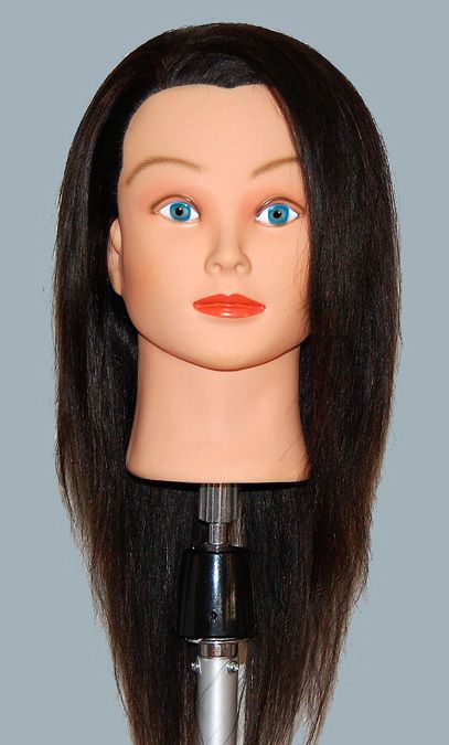 22 Cosmetology Mannequin Head HUMAN Hair ^^ ABA  