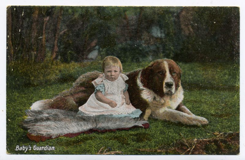 SAINT BERNARD THE BABYS GUARDIAN OLD DOG POSTCARD  