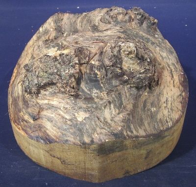   Leaf Maple Burl Cap Wood Turning Bowl Lathe Blank 10 1/4 x 2 1/4 5