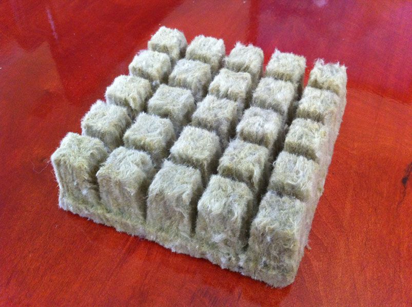 25)   1 Hydroponic Rockwool Cubes + FREE eBook  