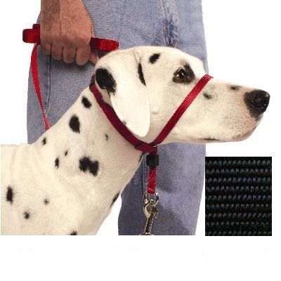 PREMIER GENTLE LEADER QUICK RELEASE DOG COLLARS  