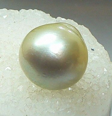 HUGE GOLDEN CREAM SALTWATER AUSTRALIAN SOUTH SEA PEARL 14mm x 15.5mm 