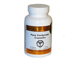 Pure Cordyceps Sinensis Cap Certified Organic USA Grown  