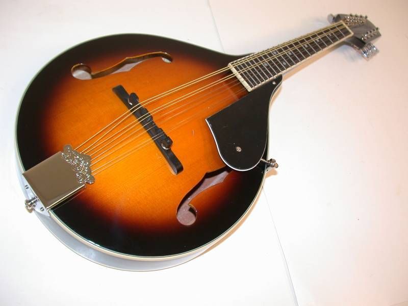 Hohner HMA Acoustic Mandolin, Premium Spruce, Gig Bag  