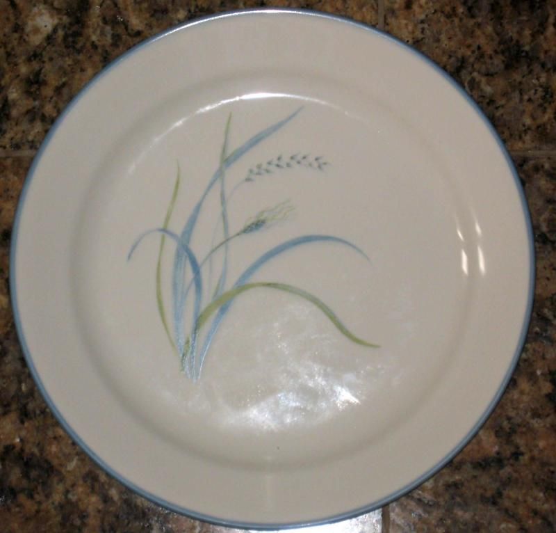 Corelle Coastal Breeze Luncheon Plates 9 New set of 4  