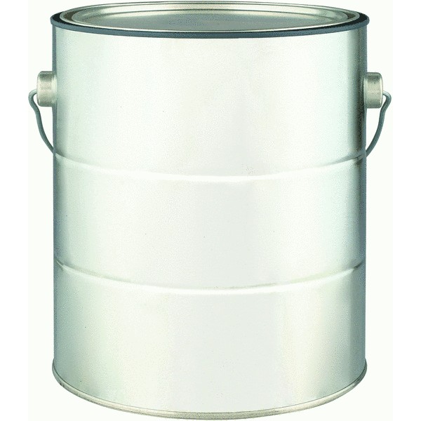 Empty Paint Gallon Cans With Lid/Handle  