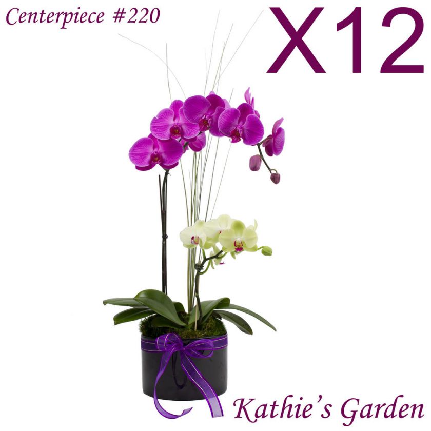 12 Wedding / Quinceaneras Centerpieces   Fresh Orchid Arrangements x12 