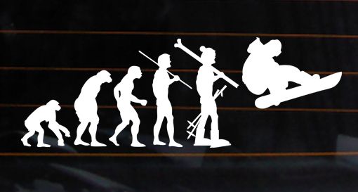 EVOLUTION OF SNOWBOARDING #2 Vinyl DECAL 9x3 Burton Ride Arbor car 